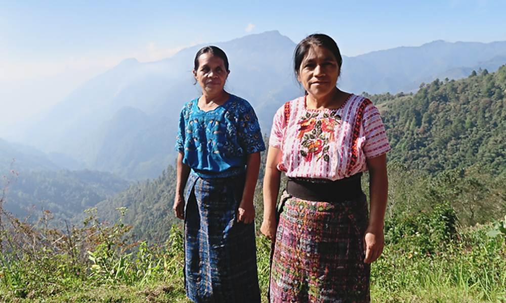 PERU Cafe Femenino empowering women in coffee