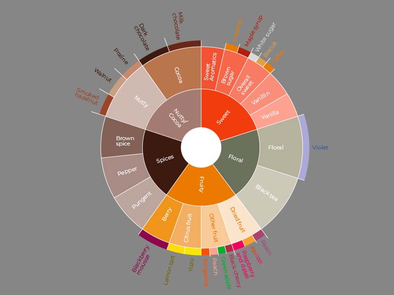 What is the coffee taster's flavour wheel?