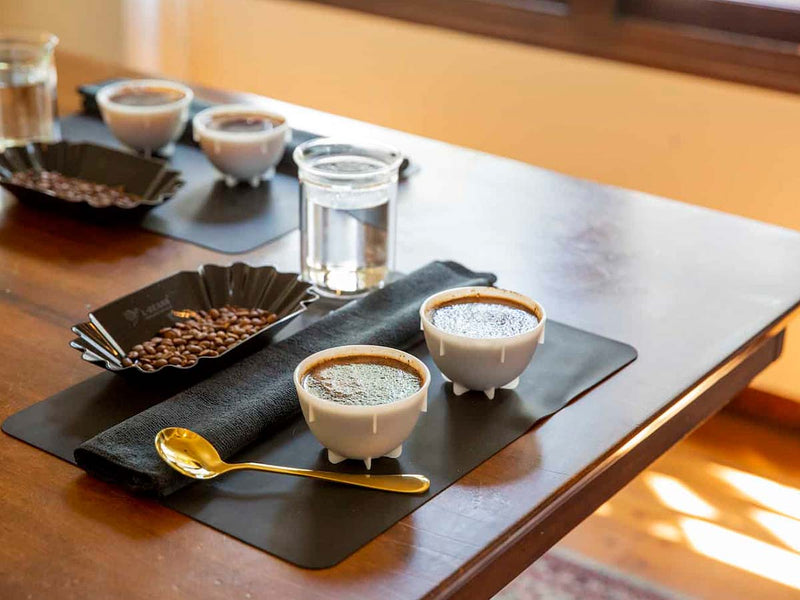 Coffee cupping: how to taste like a pro