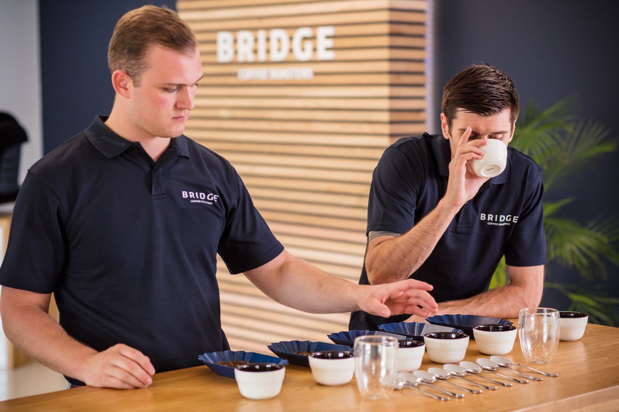 Bridge Coffee