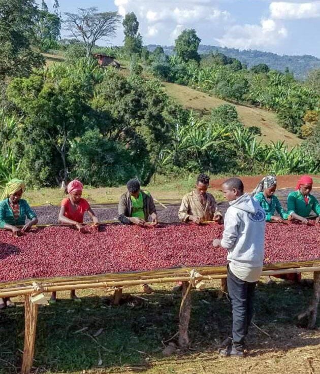 Sourcing Promise