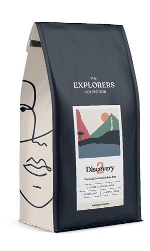 Discovery 2