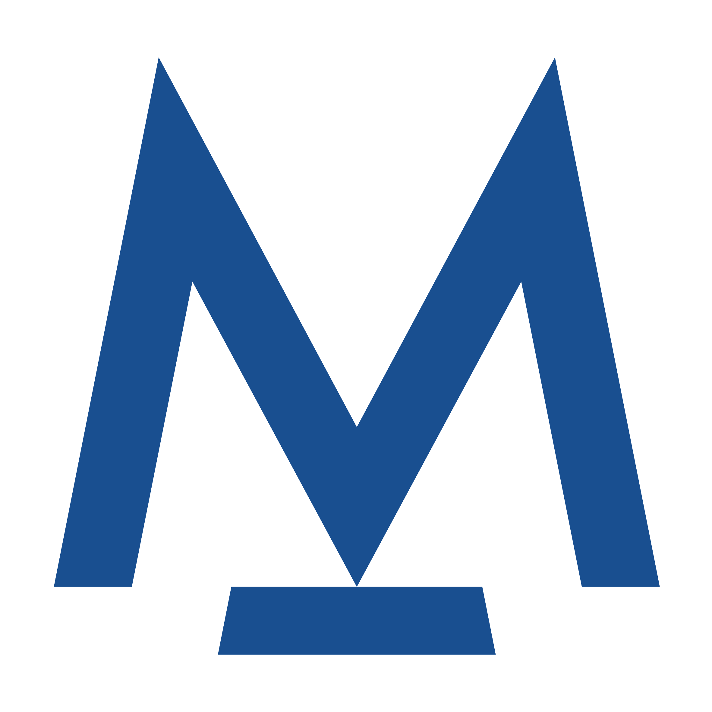 Modern Standard Modern Standard