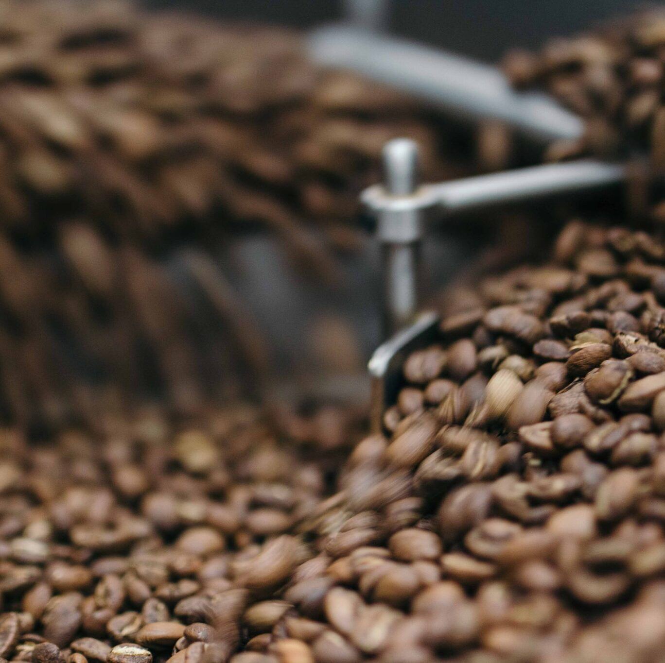 battlecreek-coffee-roasters-3q3f1uDQk94-unsplash-1-scaled-e1732179658598