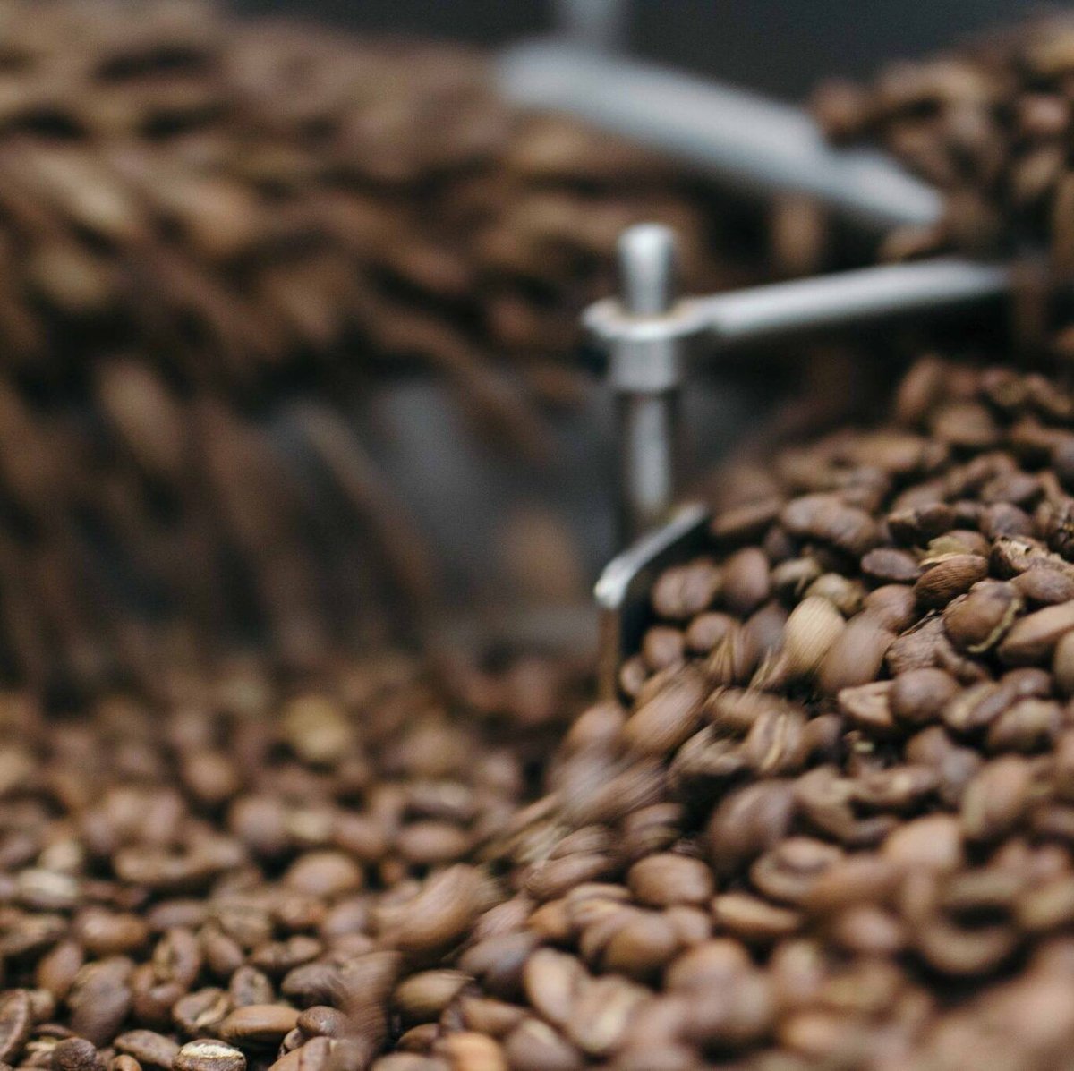 battlecreek-coffee-roasters-3q3f1uDQk94-unsplash-1-scaled-e1732179658598