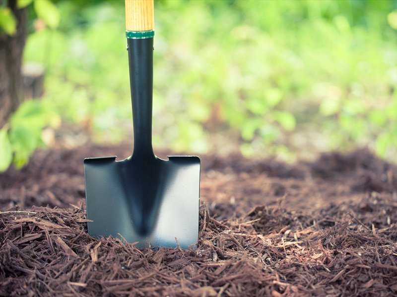 Shovel in garden earth